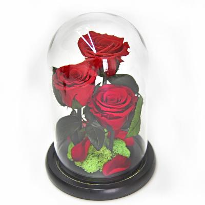 China Green Luxurious Beautiful Enchanted Preserved Forever Environmental Protection Valentines Day Roses Gifts In Glass Dome for sale