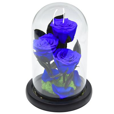 China Environmental Protection Green Wholesale Eternal Roses A Grade Rose Glass With Gift Box For Wedding Valentine's Day Gifts Box for sale