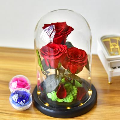 China Green Rose Light Preserved Romantic Red Roses Flower Eternal Flower With LED Environmental Protection Real In Glass Dome For Girl Woman Gift for sale