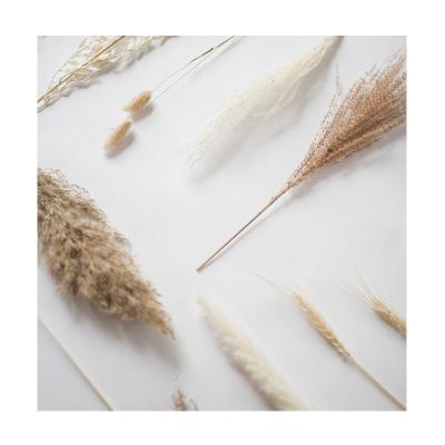 China Environmental Protection Small Decor Natural Fake Flowers Large Artificial Dry Pampas Grass Home Wedding Beige Fluffy Large Pampas Green for sale