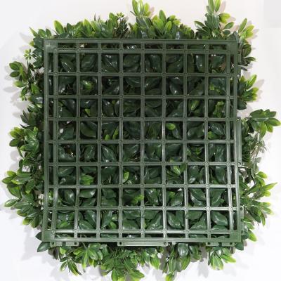 China Anti-UV Plant Hedge Screen Garden 50*50cm Artificial Grass Boxwood Panels Wall Plant for sale