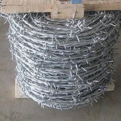 China Big protection galvanized 50kg barbed wire price for sale