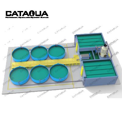 China Bass Indoor Fish Farm Freshwater Ras Fish Farming System Aquaculture Machine CATAQUA for sale