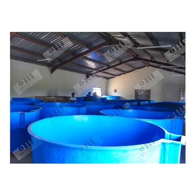 China Smoothy Modern Aquaculture System Indoor Tilapia Fish Farm for sale