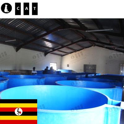 China Indoor Fish Farm Uganda Project Biofloc System Fish Farm Aquariums Farm Aquaculture Other Aquaculture Equipment for sale