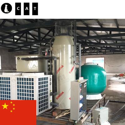 China Aquariums Aquaculture Xingjiang Project Pufferfish Aquicultura RAS Fish Farm System Water Treatment For Fish Pond for sale