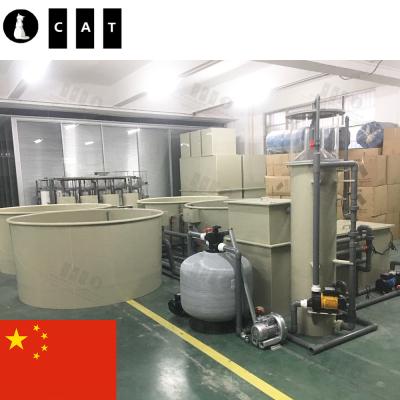 China Integrated Fish Farm Chengdu Project Ras Equipment Small Fish Farm For Fish Stocking for sale