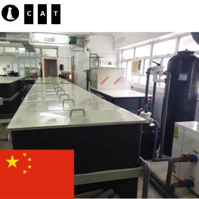 China Hong Kong Project Lobster/Oyster/Mussel Fish Recycling System Recycling Aquaculture System 15m3/hr for sale