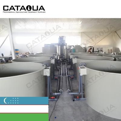 China Sturgeon farming CATAQUA Project Aquaculture Ras Fish Farming Equipment Sturgeon Farm Uzbekistan for sale