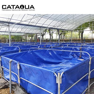 China Lobster Farming CATAQUA Jiangsu Province Project Lobster Ras Fish Farming Equipment Aquaculture System for sale