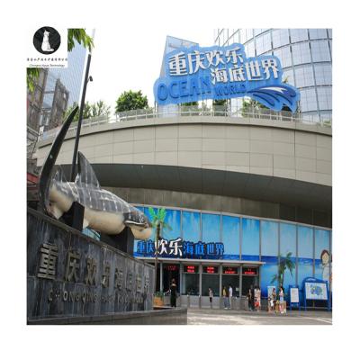 China High Efficiency Chongqing Happy Sea World Ocean Park Water System Aquarium Cleaning Design and Install RAS Recirculating Aquaculture Systems for sale