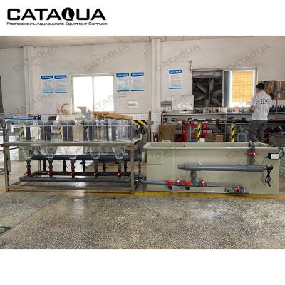 China Hatchery CATAQUA Bang Type Mini Tilapia Hatchery Equipment Fish Hatchery Incubator For Fish Eggs for sale