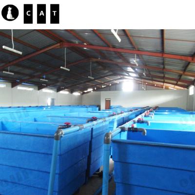 China Aquaculture Farm Breeding Fish Tank FRP Small Rectangle Fish Tank for sale