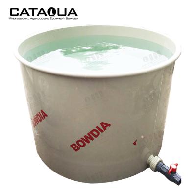 China CATAQUA Ras Farming System Fish Farm Tilapia Fish Farming Tanks pp Aquarium For Sale for sale