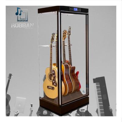 China Alloy Musical Instrument Equipment Guitar Case Hamlet Musical Instrument Maintenance Controlled Humidity Control for sale