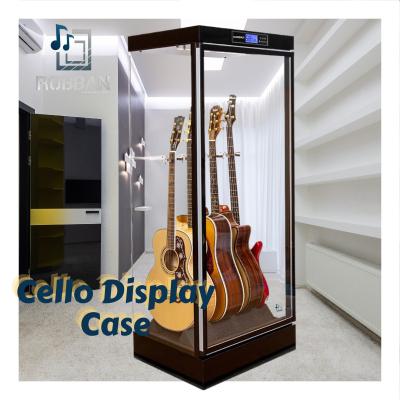 China Alloy Musical Instrument Hygrostat Guitar Display Caseviolin Care Testing Humidity Check for sale