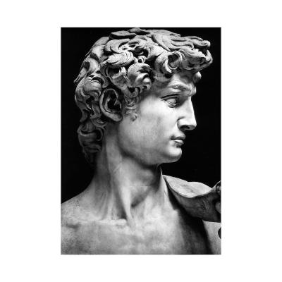 China Minimalist David Statue Black and White Wall Art Printing Pictures Canvas Printing Custom Prints Wall Art for sale