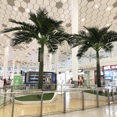 China Natural Appearance Plastic Steel Palm Trees Artificial Palm Tree in Shenzhen Airport Royal Cocos Tree for sale