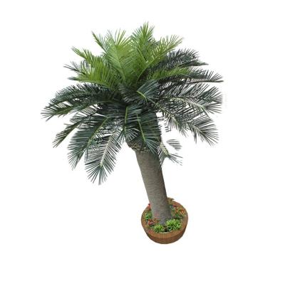 China Wholesale artificial swimming pool coastal decoration villa palm date palm tree for sale