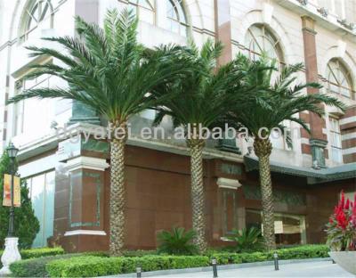 China Decorative Home Decor Plastic Fiberglass Artificial Washington Date Palm Trees ZLS07 for sale