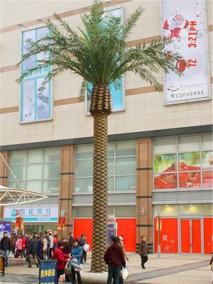 China Decorative Home Decor Washington Date Plastic Artificial Palm Trees ZLS06 8m Tall Artistic for sale