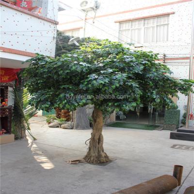 China Artificial fiberglass ficus trees, banyan tree, banyan tree for decorative for sale