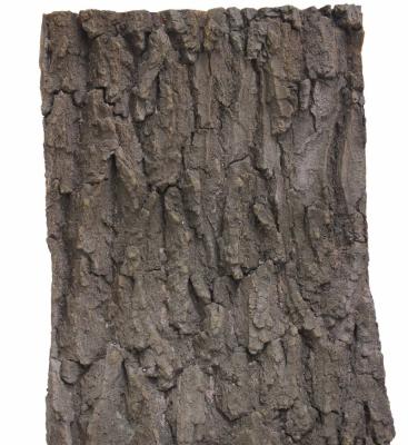 China Same texture as real tree bark tree texture natural tree bark fabric synthetic plant skin for sale