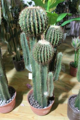 China Plastic Outdoor Artificial Plastic Cactus Lighted Plants Grow Light Outdoor for sale