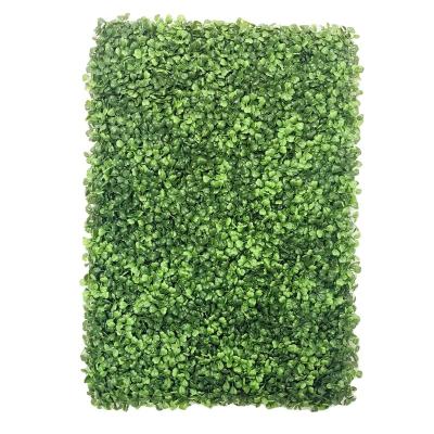 China UV Proof Artificial Green Artificial Wall Panel Grass Fence Boxwood Panel for sale