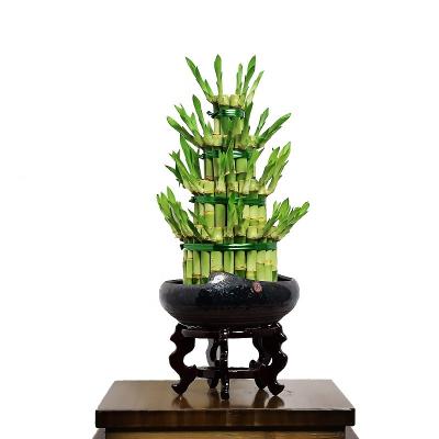 China 4 Layer Tower Lucky Bamboo Plant Artificial Lucky Bamboo Loop Lucky Bamboo Wholesale Plant for sale