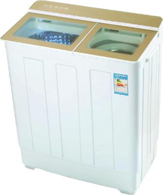 China Stainless Steel Plastic Tub Twin Tub Washing Machine for sale