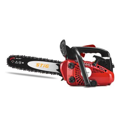 China Professional Powerful 2-Stroke Gas Petrol Chainsaw with 16