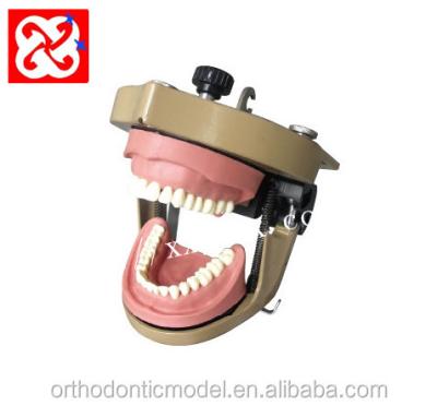 China Hospital Clinic University Articulator for sale