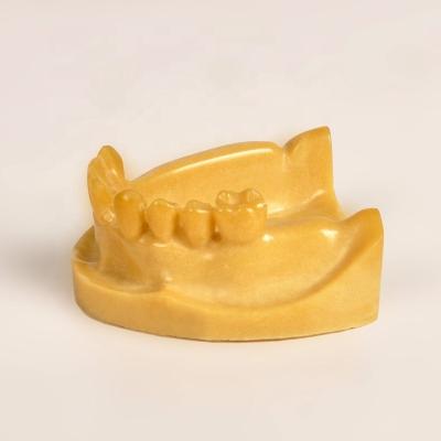 China Show/decoraion lower jaw mandibular jaw for implant piercing suture practice incision for sale