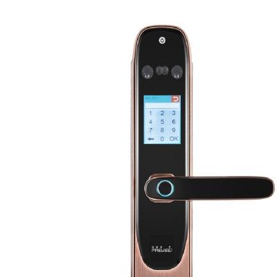 China Aluminum Alloy Fingerprint Password Electronic Fingerprint Door Locks Smart Aluminum Door Locks and Handles for sale