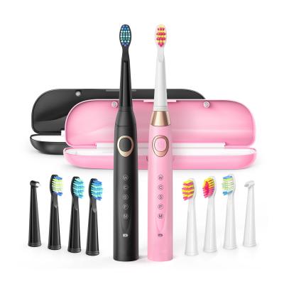 China Fairywill family set 2 in 1electric toothbrush wholesale cheap sonic toothbrush for adult use SG2306 for sale