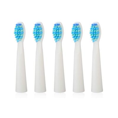 China Wholesale Car SEAGO SGD010 5 Pcs Replacement Electric Toothbrush Heads Sets With A Travel Case for sale