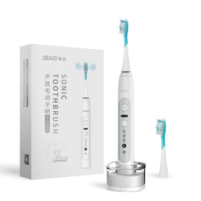 China SG-982 Rechargeable Teeth Brush Waterproof Adult Electric Toothbrush Deep Clean Multifunctional Best Prices for sale