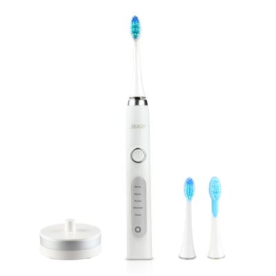 China SEAGO household wholesale manufacturer SG986 High quality rechargeable electric Sonic Toothbrush for sale