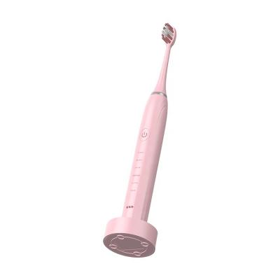 China Home Use+office+travel 2021 High Quality Cheap Ultrasound Hot Selling Electric Toothbrush for sale