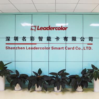 Verified China supplier - Shenzhen Leadercolor Smart Tech Co., Ltd.