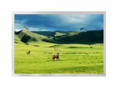 Cina ampia temperatura dello schermo 1280x800 dell'esposizione LCD a 12,1 pollici industriale di IPS in vendita