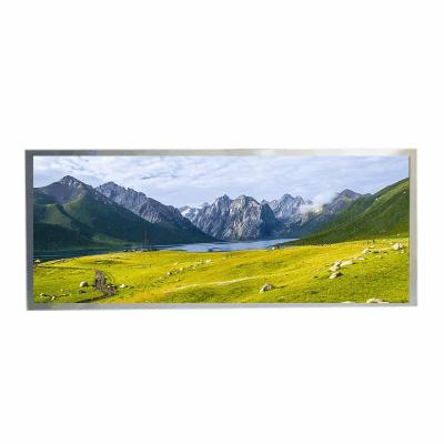 China HannStar 12,3” TFT IPS LCD 1920x720 850nits WLED LVDS 50pins à venda