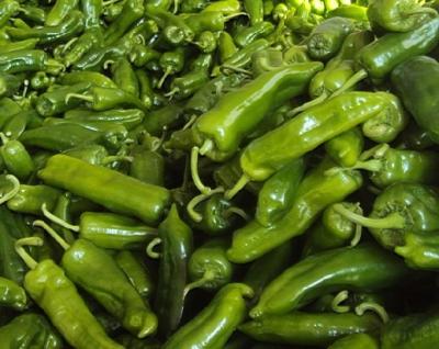 China PRESERVED pickled green pepper - 350kg in tank for sale