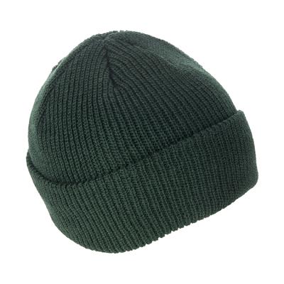 China 100% Factory Directly Common Sale Winter Blank Logo Custom Acrylic Green Knit Beanie For Adults for sale