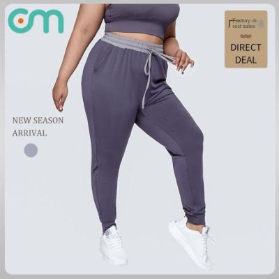 China Autumn New Breathable Winter Yoga Fitness Large Size Quick Dry Pants Sweat Absorption Casual Sports Running Pants for sale