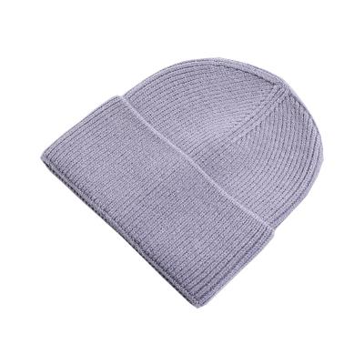 China Low Price JOINT Sale Oeko-Tex Knitted Hat Plain Knitted Hat Acrylic Knitted Hat for sale