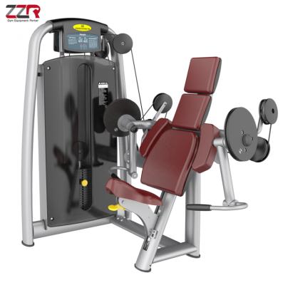 China Commercial Use Gym Equipment Fitness Equipment Bodybuilding Strength Machine Arm Loop for sale