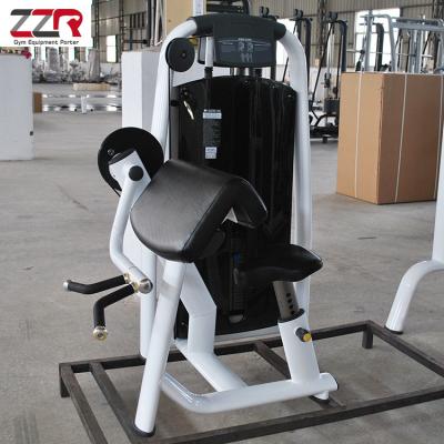 China Commercial Use Gym Fitness Equipment Professional Seated Biceps Curl Machine For Strength Training Comercial for sale