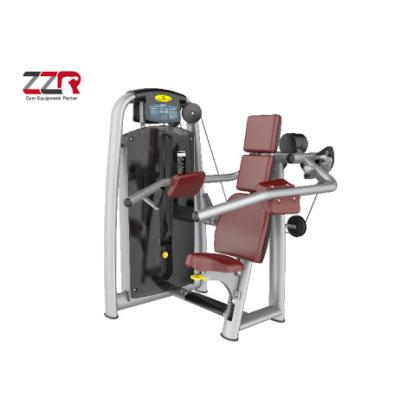 China Wholesale Professional Use Factory Delt Machine Strength Professional Gym Equipment For Sale for sale